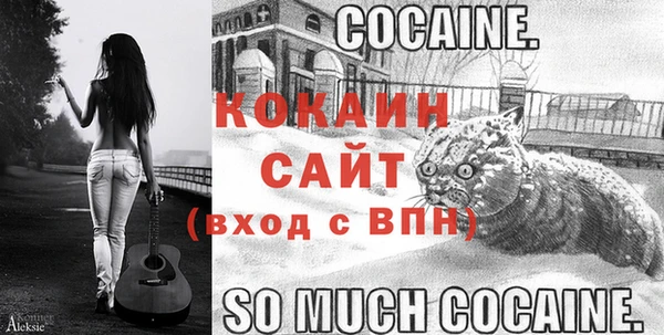 молекула духа Майский