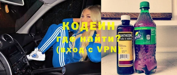молекула духа Майский
