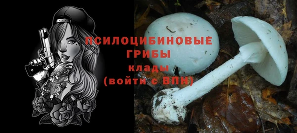 молекула духа Майский